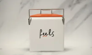 Feels Cooler box